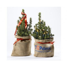 Bureau Kerstboompjes