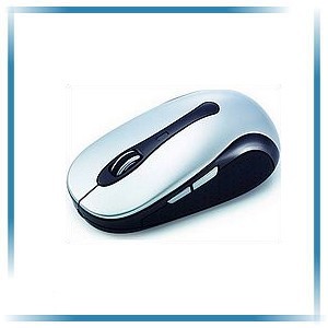 Computermuizen
