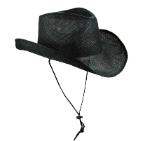 Cowboyhoeden met koord