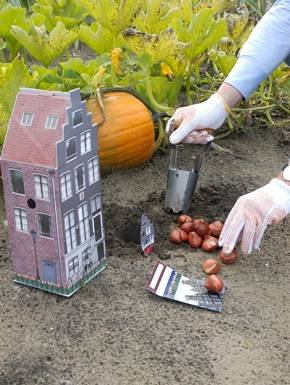 Grachtenpand met bloembollen