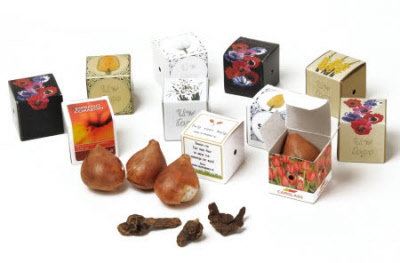 Mini bloembollen doosjes