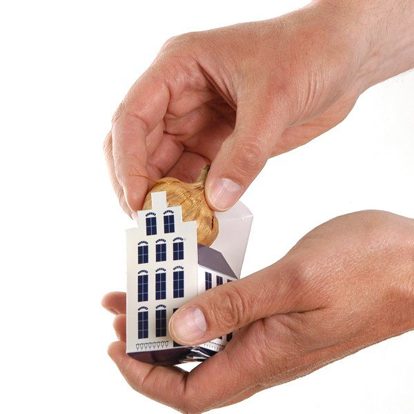 Mini grachtenpandjes met bloembollen