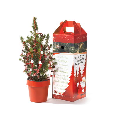 Kantoor kerstbomen