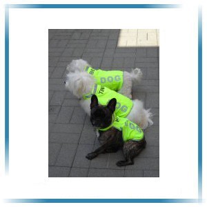 veiligheidsvesten voor de hond