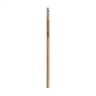 Holz