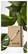 Pocket ECO A5 notitieboek