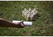 Finnish Throwing Game spel