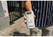 Kambukka® Olympus 300 ml thermosbeker