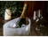 Loire Champagneglas 230 ml