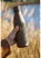 Topflask Premium RCS Recycled Steel 500 ml drinkfles