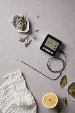 VINGA Hays thermometer