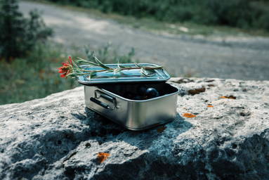 RCS gerecycled roestvrijstalen lekvrije lunchbox