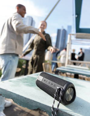 Urban Vitamin Berkeley IPX7 draadloze 10W luidspreker