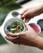 Black+Blum Lunch Pot Origineel