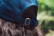 Impact AWARE™ 6 panel rpet sportcap