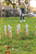 Houten skittles set