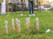 Houten skittles set