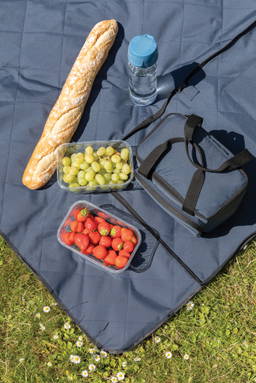 Impact Aware™ RPET opvouwbare gewatteerd picknickkleed