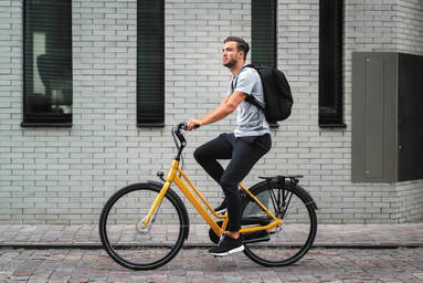 Flex Gym bag
