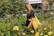 Impact AWARE™ gerecycled katoenen draagtas met bodem 145gsm