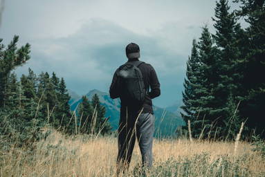 Swiss Peak AWARE™ RPET 15.6" day pack