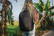 Swiss Peak AWARE™ moderne 15,6" laptoprugzak