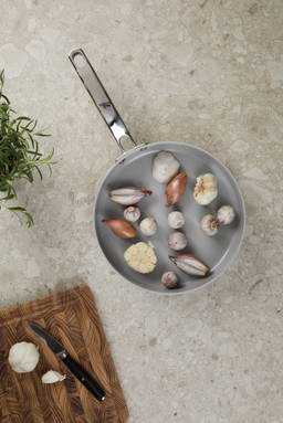VINGA Alte RCS gerecycled aluminium koekenpan 25 cm