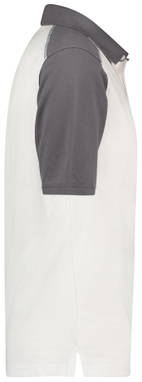 Dassy Classic Cesar Tweekleurige polo 710004