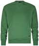Olmgroen