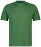 Olmgroen