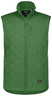 Olmgroen