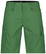 Dassy Vivid Zion Werkshort 250109