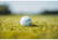 tomorrow golf Single Pack Recycled Golf Balls