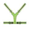 Neon green