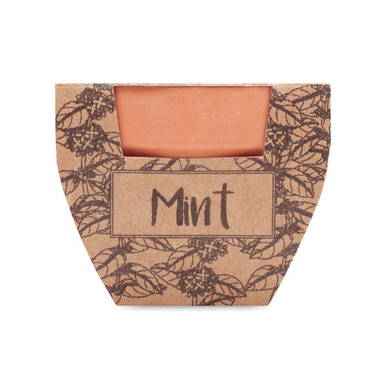 MINT POT Potje munt