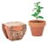MINT POT Potje munt