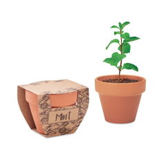 MINT POT Mint Pot