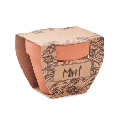 MINT POT Potje munt