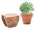 CRESS POT Potje tuinkers
