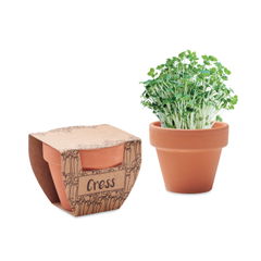CRESS POT Cress Pot