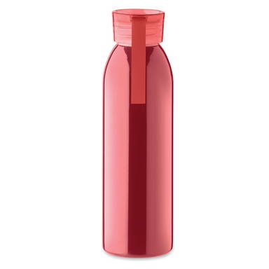 BIRA Roestvrijstalen fles 650ml