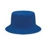 Bleu roi