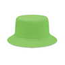 Citron vert