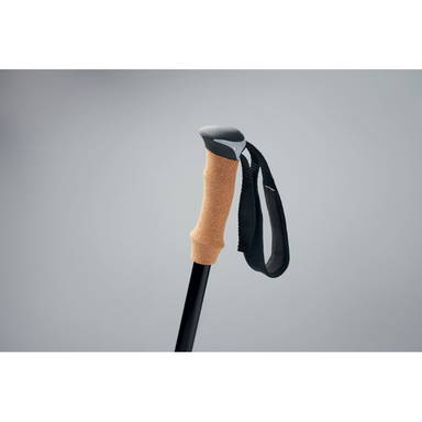 NOLE Nordic Walking stokken