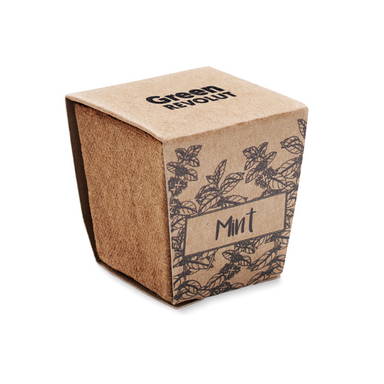 MINT KIT Muntzaad kweekset
