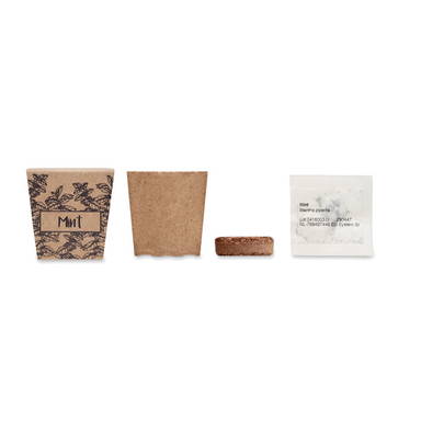 MINT KIT Muntzaad kweekset