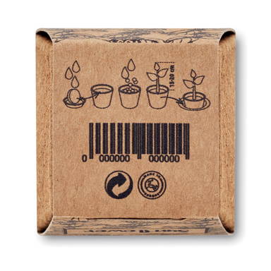 SUNFLOWER KIT Zonnebloem kweekset