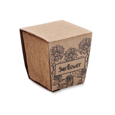 SUNFLOWER KIT Zonnebloem kweekset