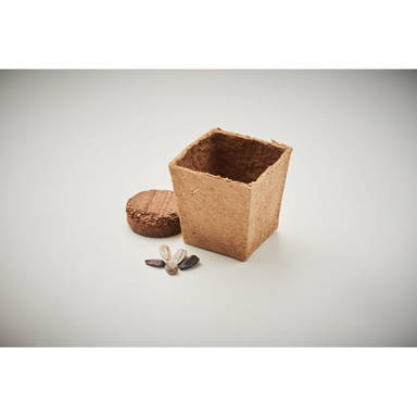 SUNFLOWER KIT Zonnebloem kweekset