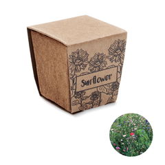 SUNFLOWER KIT Zonnebloem kweekset
